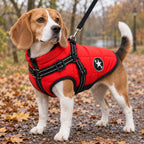 Dog Jacket with Built-In Harness, Waterproof, Small to Medium Dogs S-3XL - on a dog