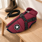 Winter Dog Coat with Harness – Waterproof Windproof, Sizes S-4XL - in room